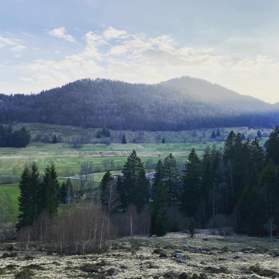 Hotel Hirschen Menzenschwand-Hinterdorf Exteriör bild