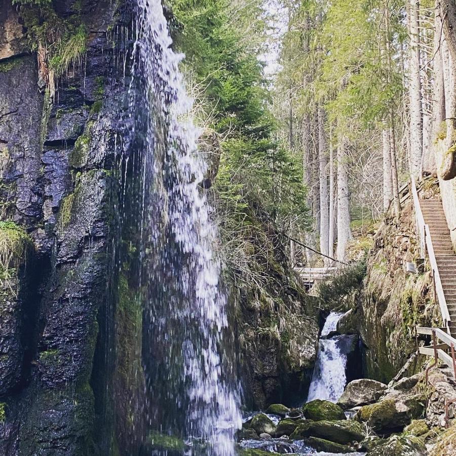 Hotel Hirschen Menzenschwand-Hinterdorf Exteriör bild