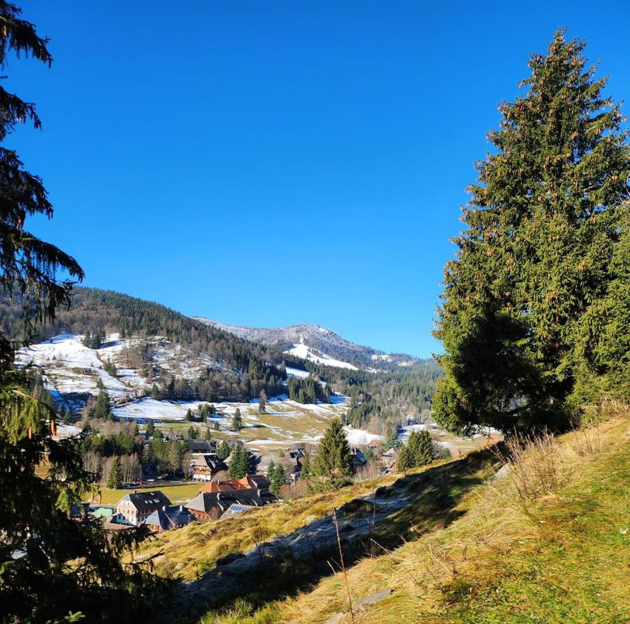 Hotel Hirschen Menzenschwand-Hinterdorf Exteriör bild
