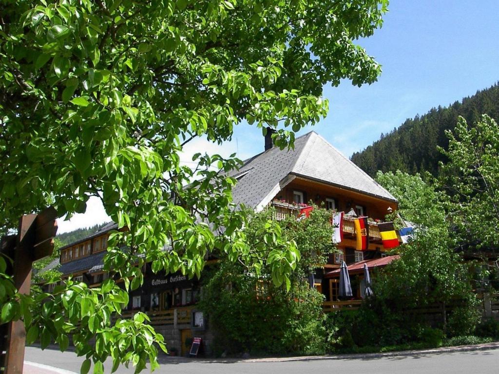 Hotel Hirschen Menzenschwand-Hinterdorf Exteriör bild