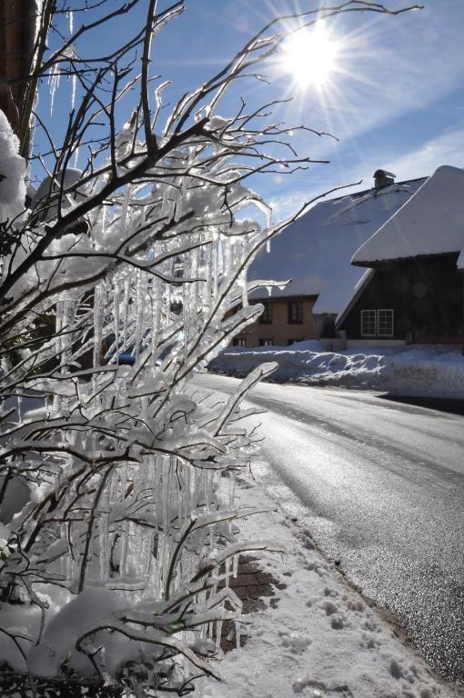 Hotel Hirschen Menzenschwand-Hinterdorf Exteriör bild